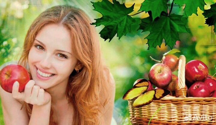 Работник по сборке яблок