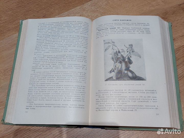Семеноводство овощных культур Ушакова Е.И. 1953г