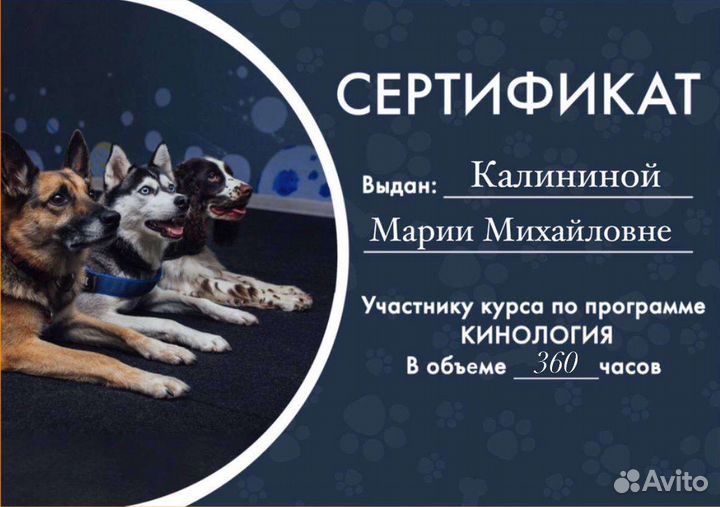 Кинолог зоопсихолог