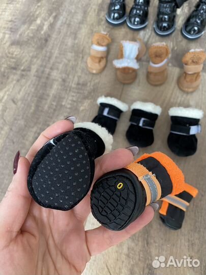 Обувь для собак