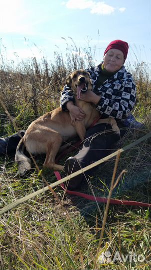 Собака в добрые руки, Дафна