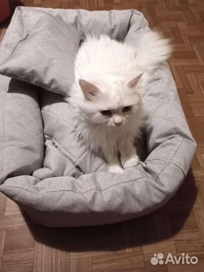 Лежанка для животных, подушки на заказ