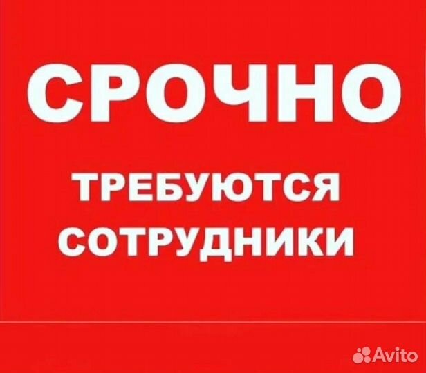 Разнорабочие (жилье,питание)