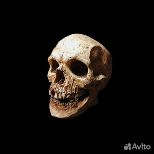 Череп декоративный