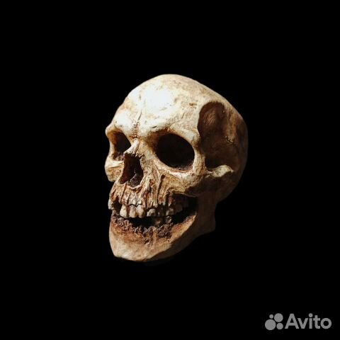 Череп декоративный