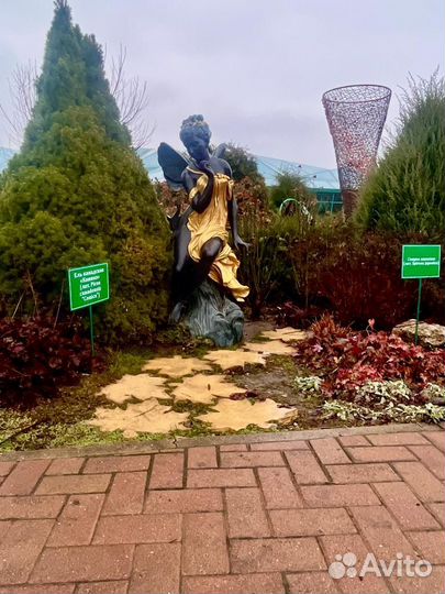 Кавказская перезагрузка