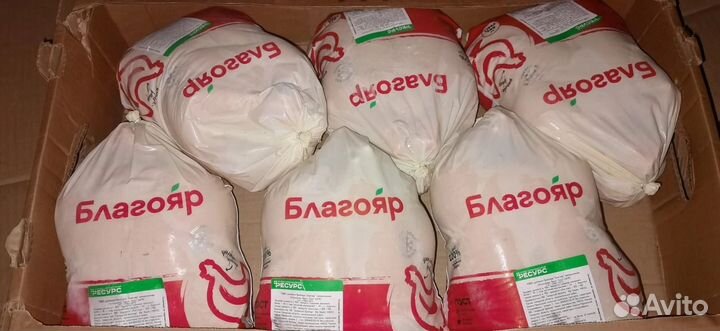 Курица, свинина