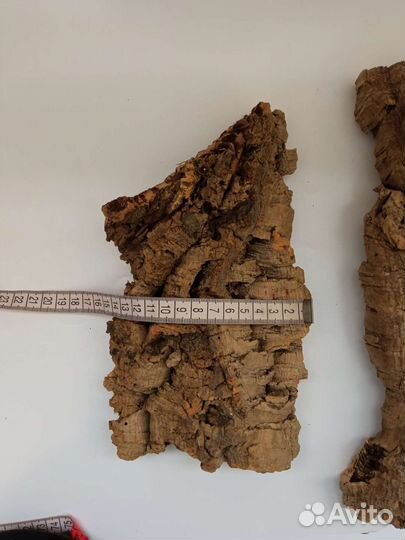 Орхидеи. Пробковые блоки из дуба