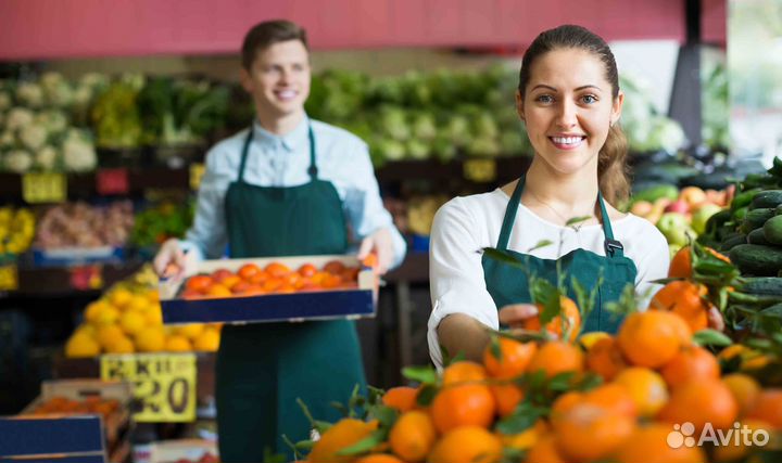 Выкладка товара ежедневные выплаты