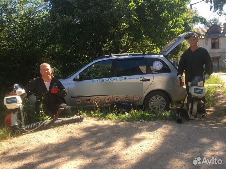 Уничтожение тараканов помор клопов мышей короеда