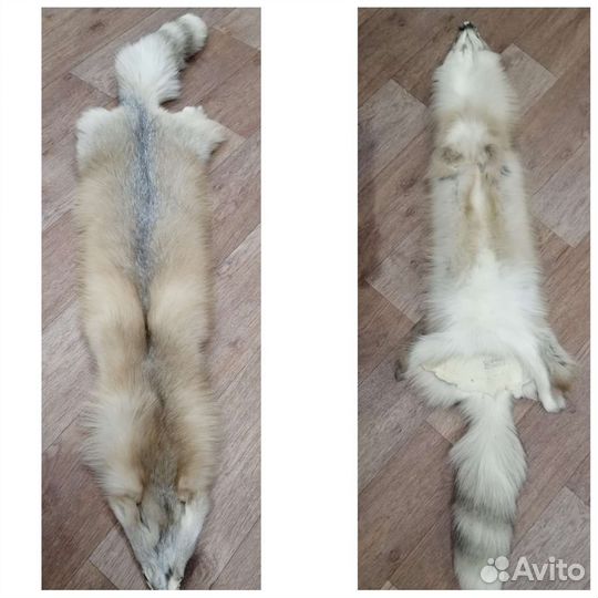 Шкуры лисы