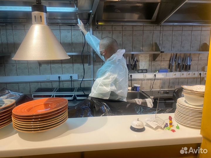 Уничтожение клопов и тараканов. Дезинфекция