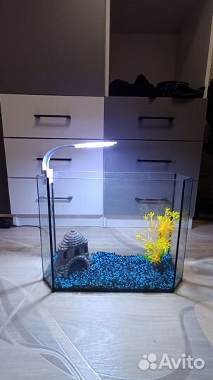 Аквариум 20 литров