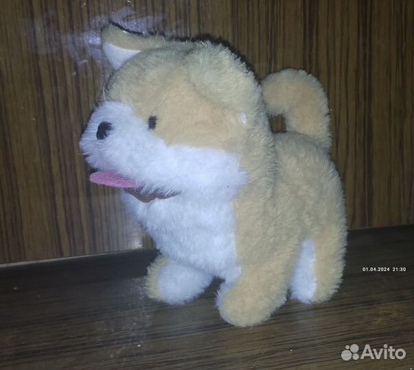 Интерактивная собака