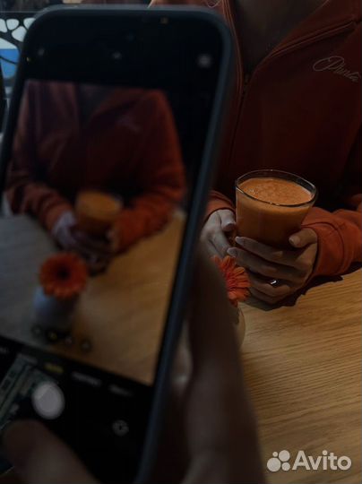 Planta rosa худи