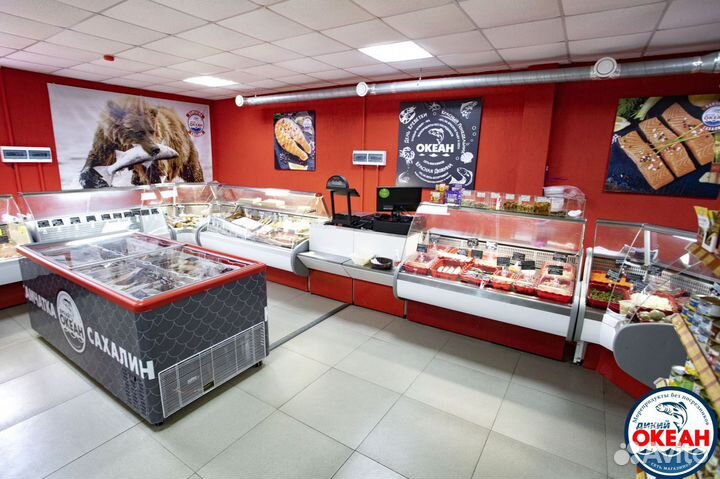 Франшиза Рыбного Магазина