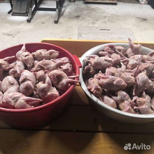 Яйцо перепелиное