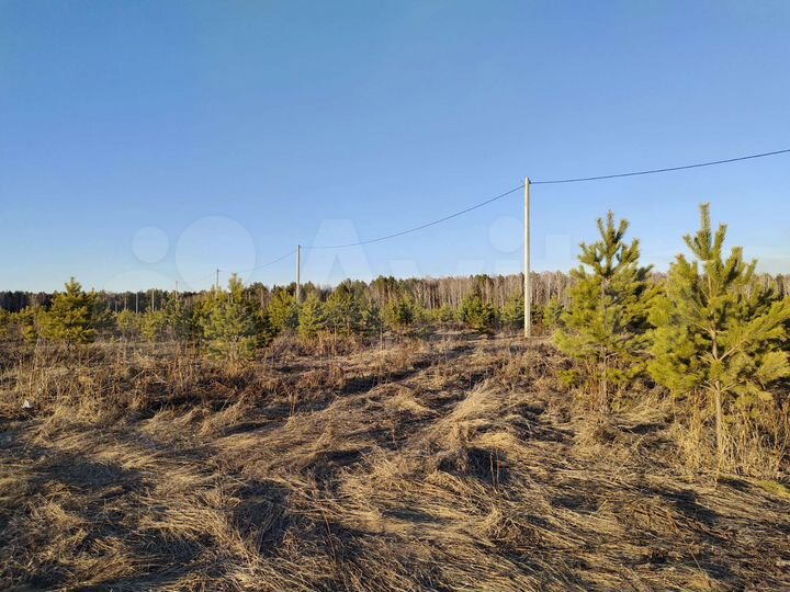 Участок 7,5 сот. (СНТ, ДНП)