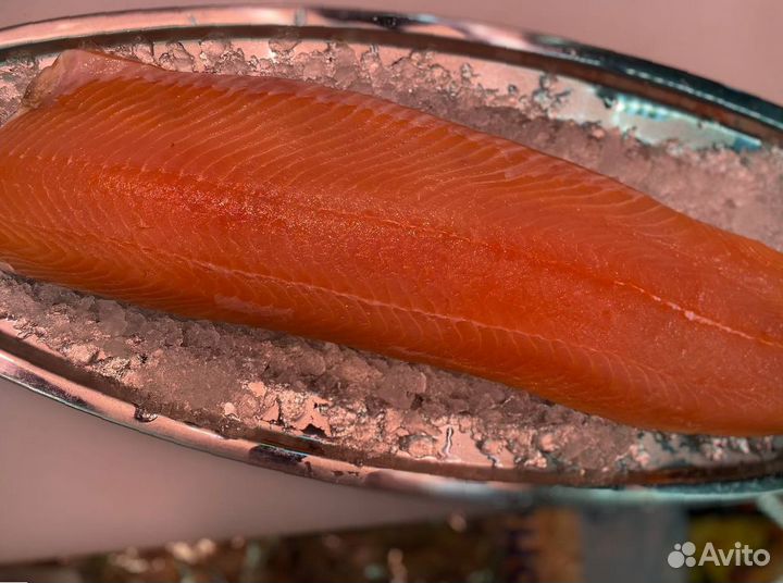 Лосось филе слабосолённый. 2023