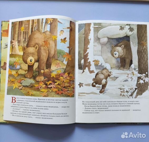 Медвежонок, ложись спать 0+