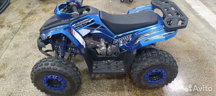 Квадроцикл motoland (мотоленд) 125 coyote Б/У