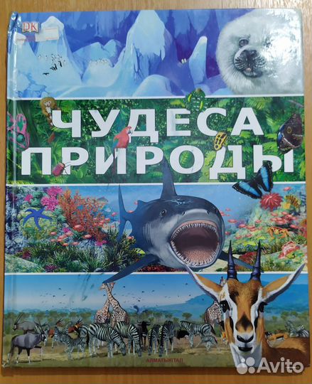 Детские книги и энциклопедии 5 штук