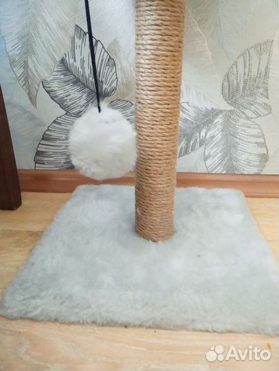 Когтеточка