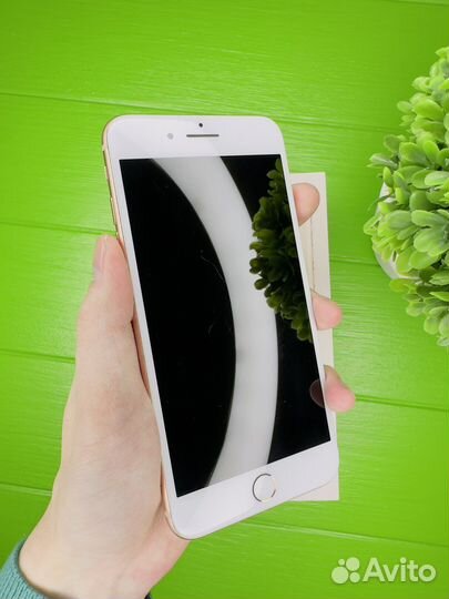 iPhone 8 plus 64gb Золотистый