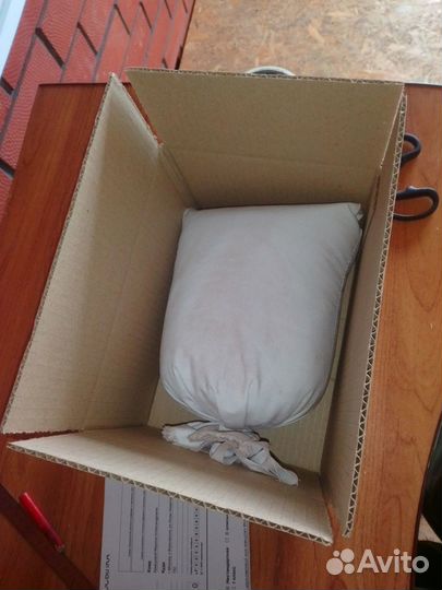 Чага березовая от сборщика