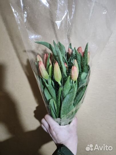 Тюльпаны 28-32 см в наличии