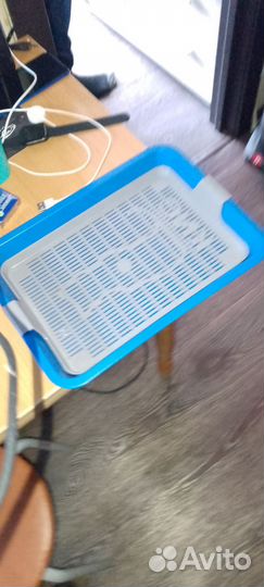 Лоток для котят бесплатно