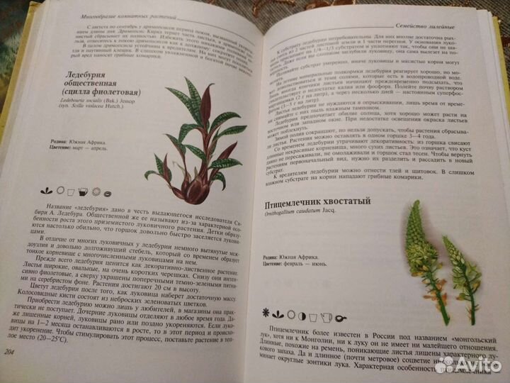 Полная энциклопедия комнатных растений