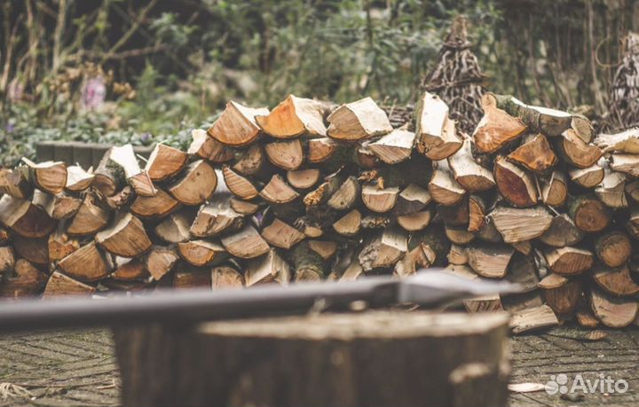 Дрова сегодня