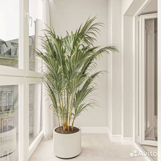 Ремонт квартир, готовое решение для однушки