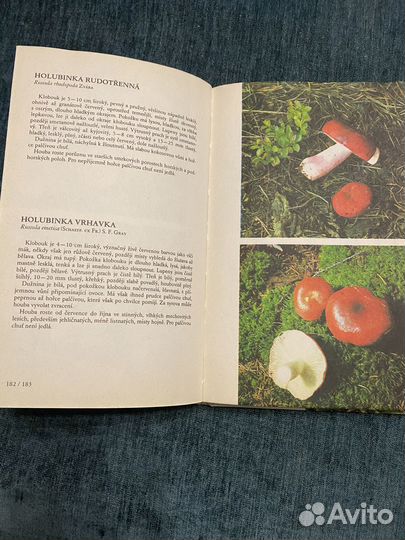 Грибы в фотографии, на чешском языке, 1977