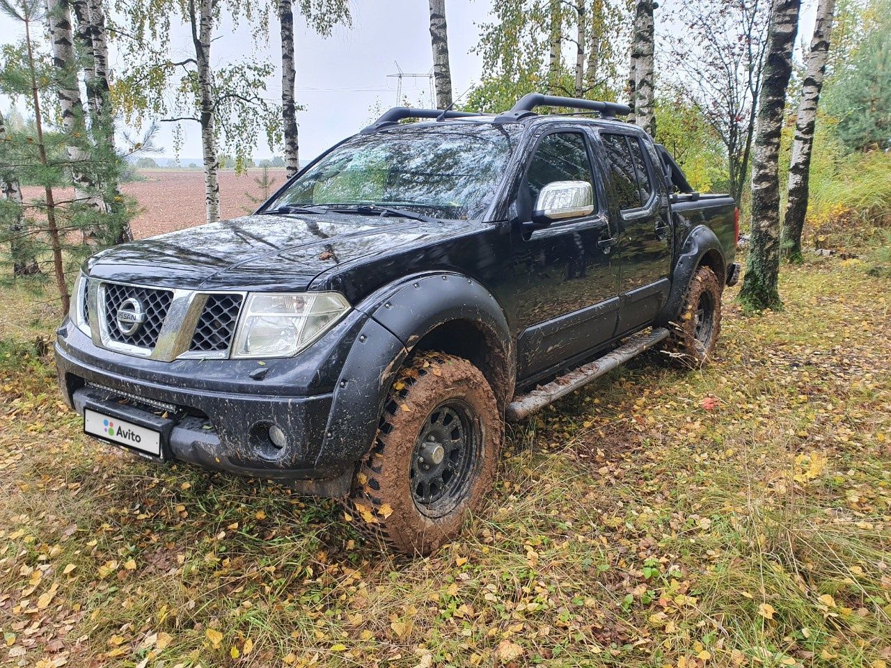 Nissan Navara: фото владельца
