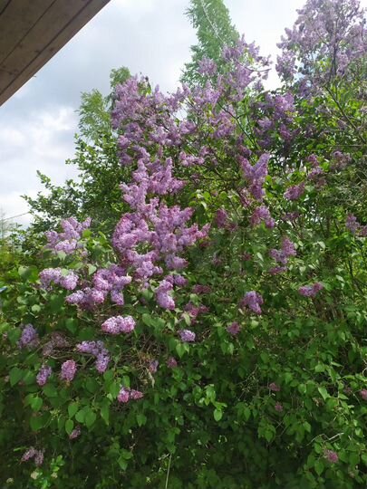 Дом 65 м² на участке 13 сот.