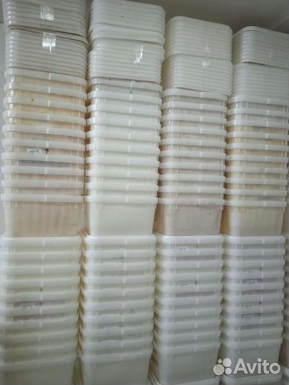 Тара 12 л под мед опт куботейнеры