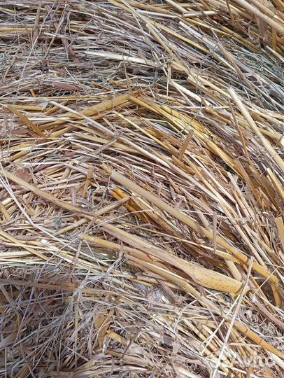 Солома в рулонах