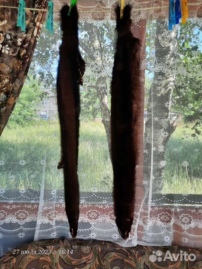 Шкурки норки