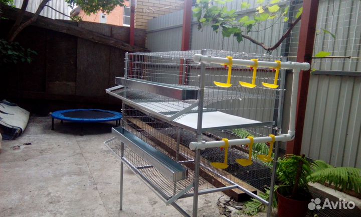 Клетки для перепелов