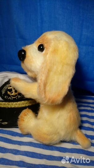 Спаниелька