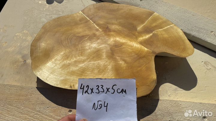 Сувель березы спилы