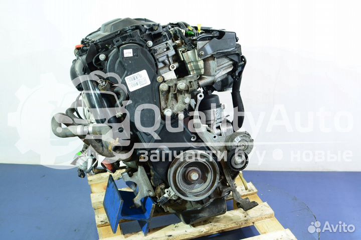 Двигатель Ford Focus 2.0 л