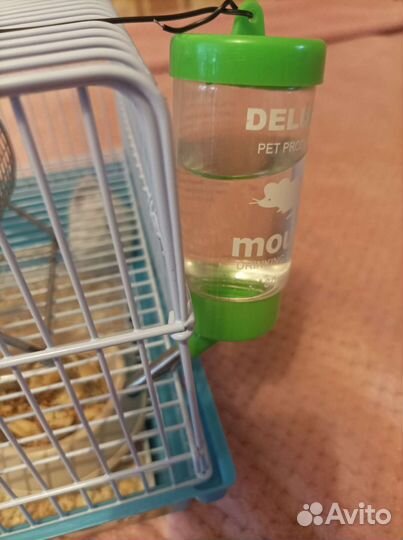 Джунгарский хомяк с клеткой