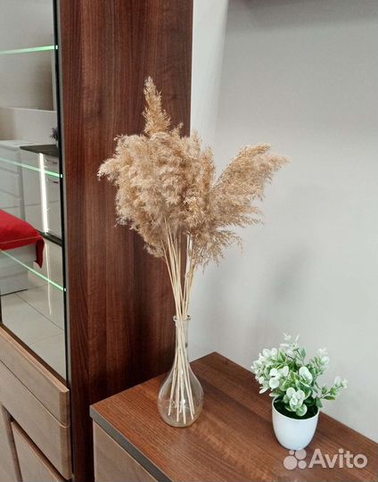 Цветы сухоцветы decor