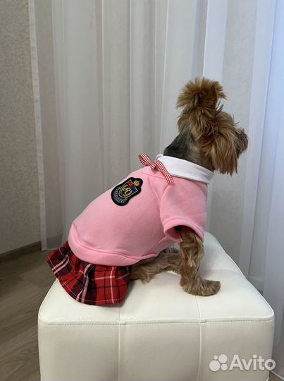Кофта для собаки