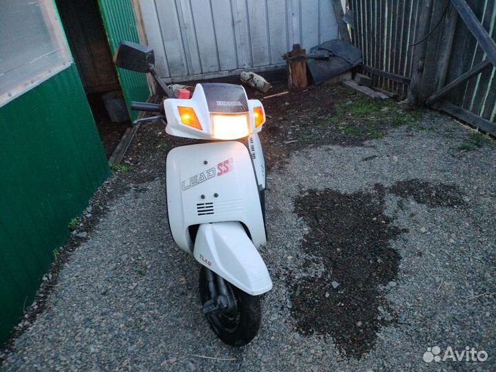 Honda lead SS