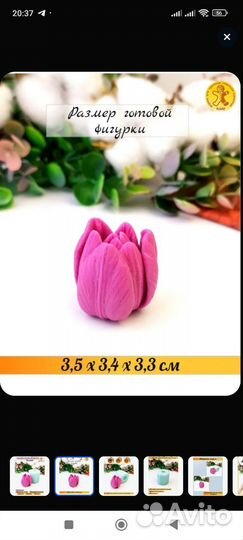 Тюльпаны молд