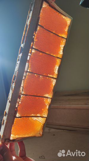 Алтайский мёд в сотах минирамки 2024 года (опт.)